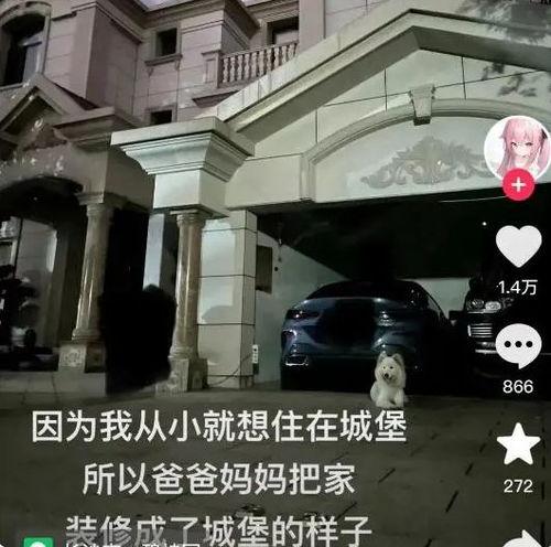 武汉住宅爆料事件视频曝光,揭露楼顶违建背后的真相 第3张 武汉住宅爆料事件视频曝光,揭露楼顶违建背后的真相 第3张