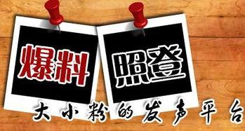 太行新闻爆料,揭秘某重大事件背后真相 第1张 太行新闻爆料,揭秘某重大事件背后真相 第1张