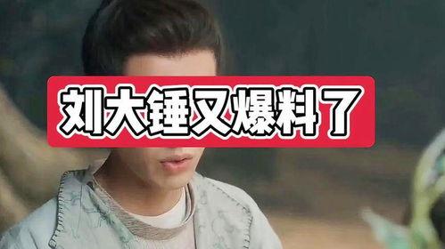 刘大锤独家爆料视频全集,揭秘视频全集背后的惊人真相  第1张